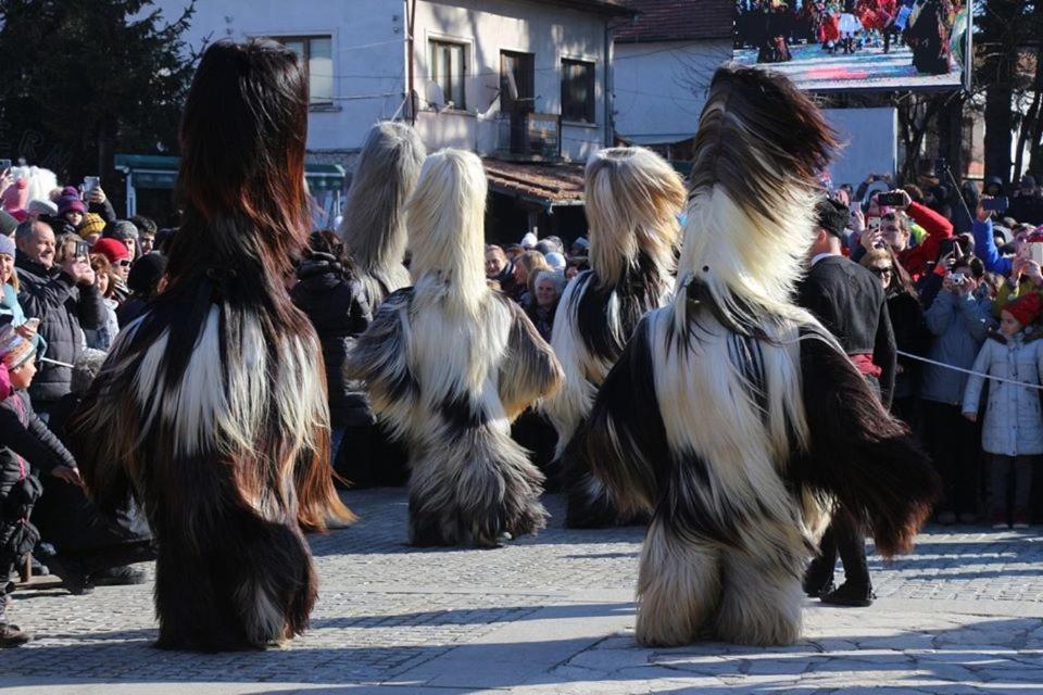 Hotel Alpin - 91 Bansko Dış mekan fotoğraf