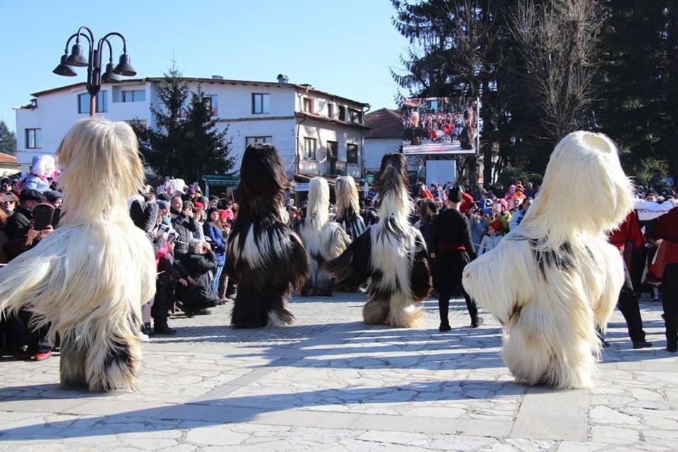 Hotel Alpin - 91 Bansko Dış mekan fotoğraf