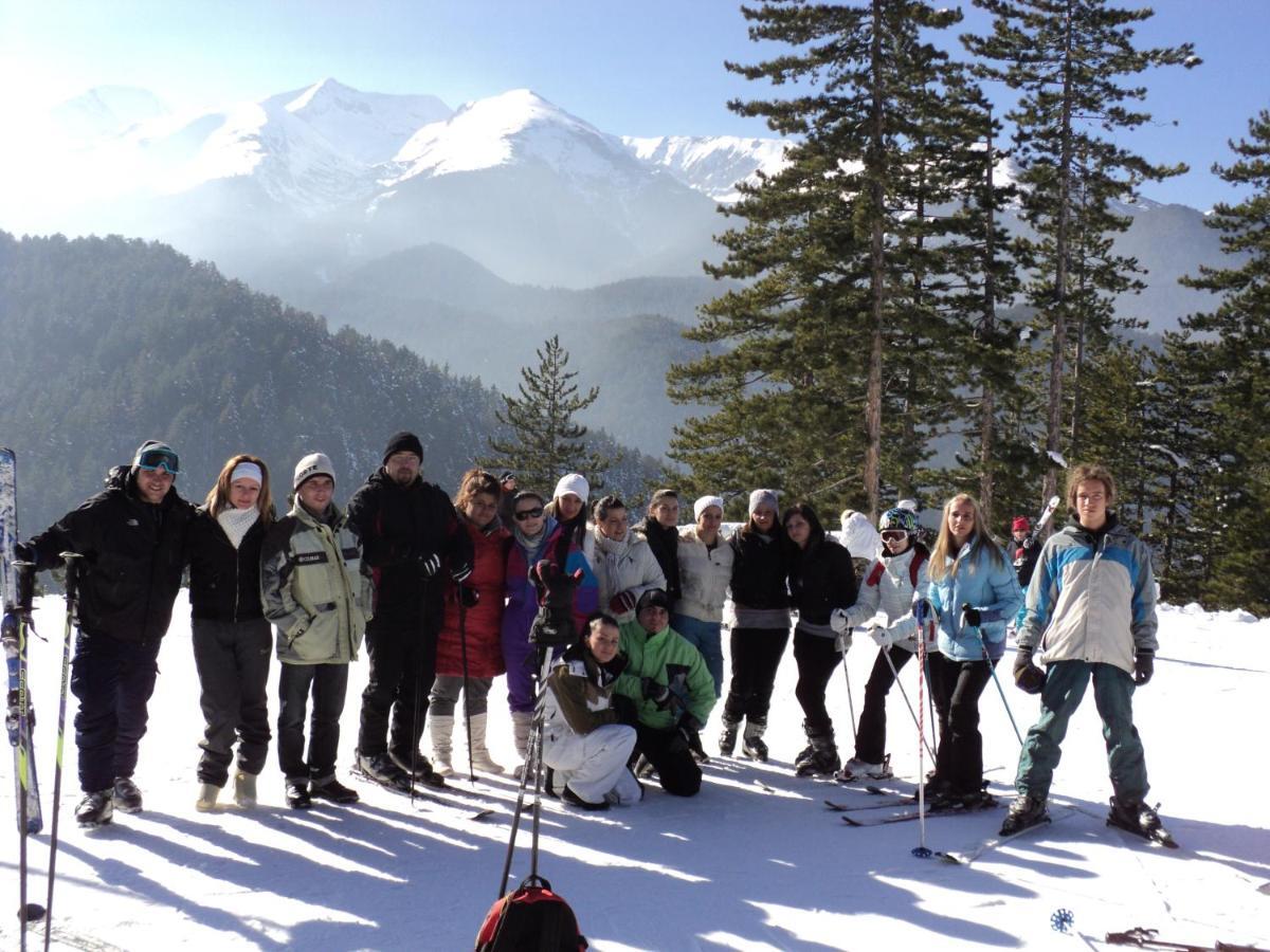 Hotel Alpin - 91 Bansko Dış mekan fotoğraf