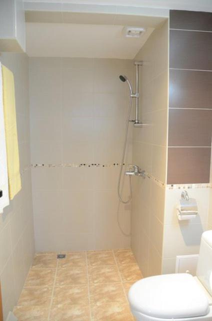 Hotel Alpin - 91 Bansko Dış mekan fotoğraf