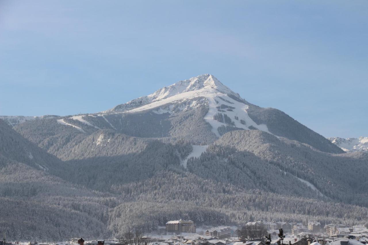 Hotel Alpin - 91 Bansko Dış mekan fotoğraf