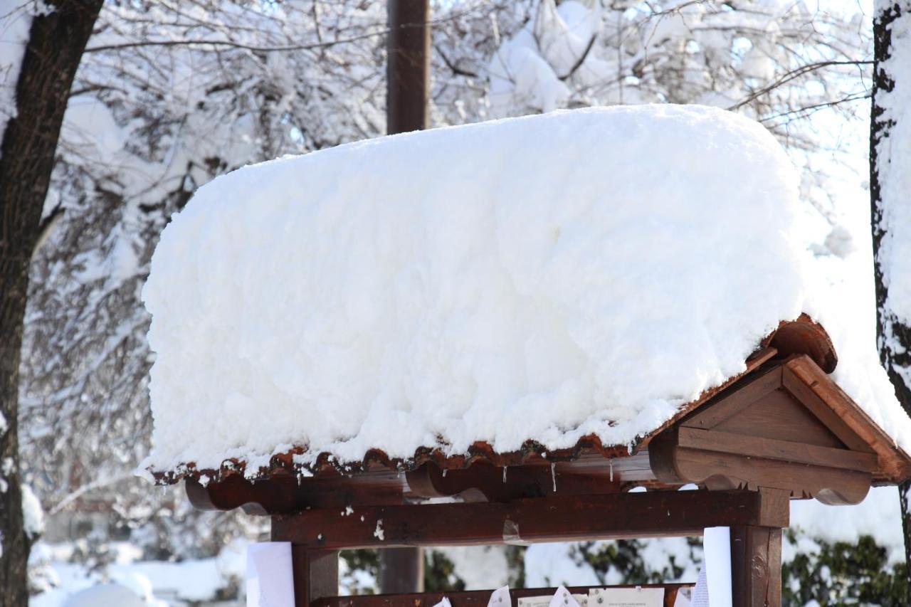 Hotel Alpin - 91 Bansko Dış mekan fotoğraf
