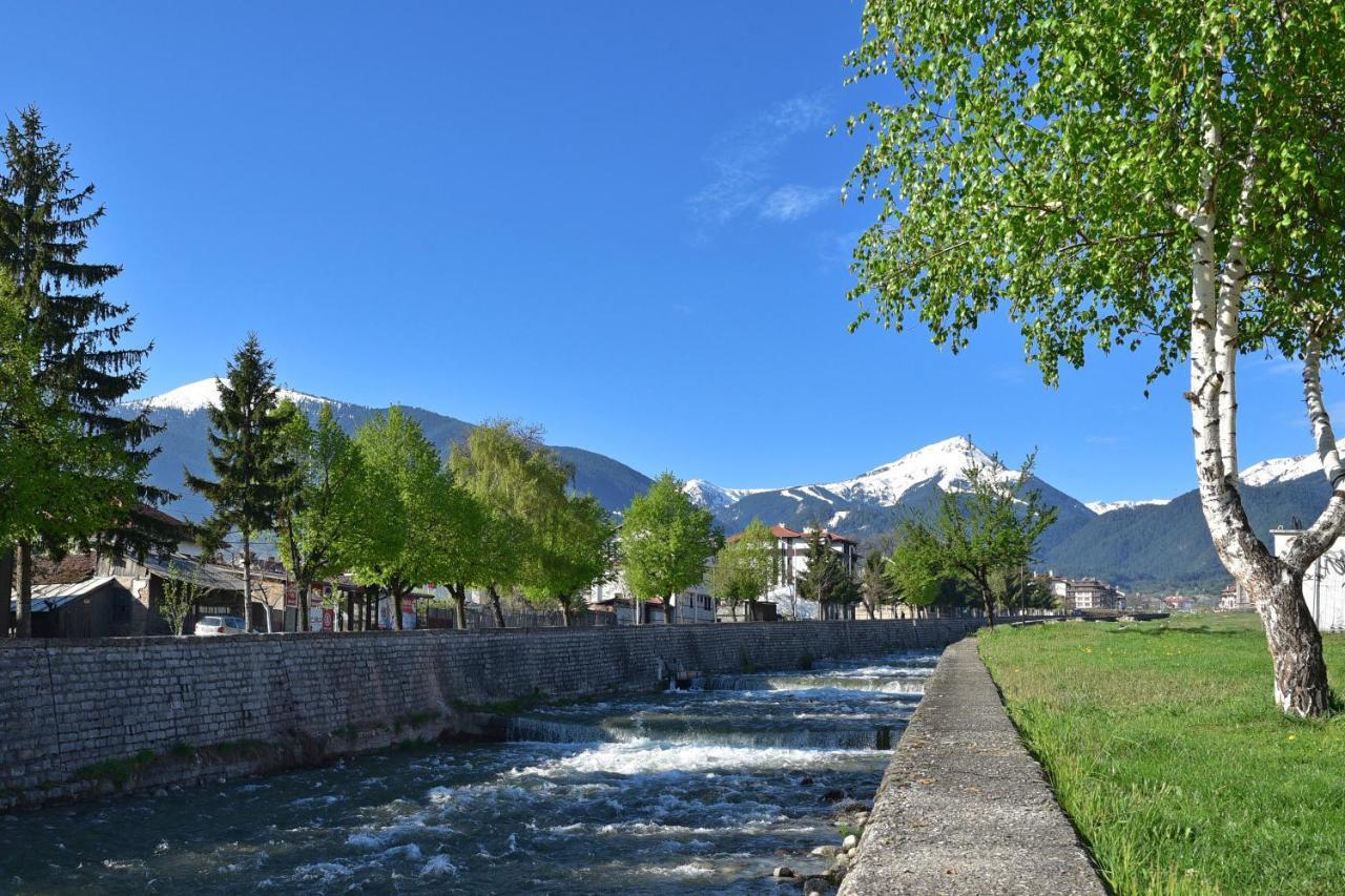 Hotel Alpin - 91 Bansko Dış mekan fotoğraf